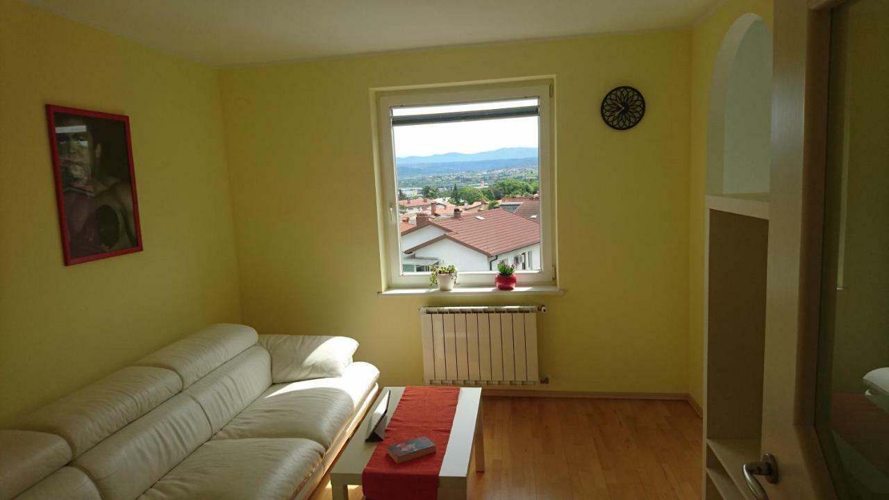 Apartment Vladka 科佩尔 外观 照片